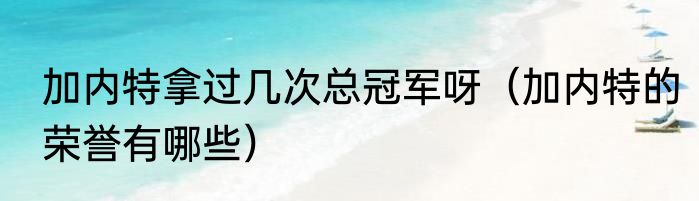 加内特拿过几次总冠军呀（加内特的荣誉有哪些）