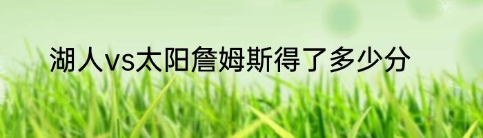 湖人vs太阳詹姆斯得了多少分