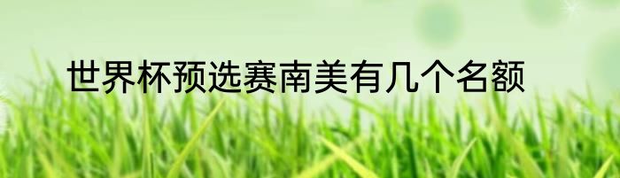 世界杯预选赛南美有几个名额