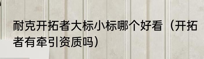 耐克开拓者大标小标哪个好看（开拓者有牵引资质吗）