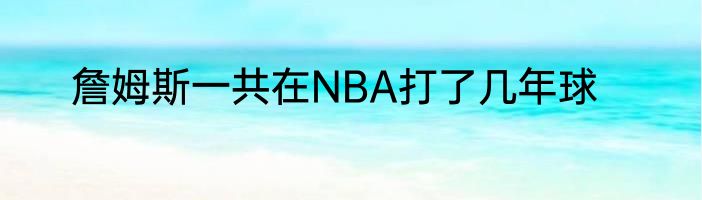 詹姆斯一共在NBA打了几年球