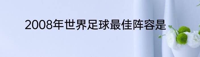 2008年世界足球最佳阵容是