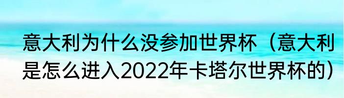 意大利为什么没参加世界杯（意大利是怎么进入2022年卡塔尔世界杯的）