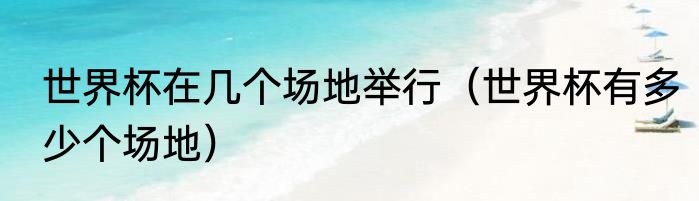 世界杯在几个场地举行（世界杯有多少个场地）