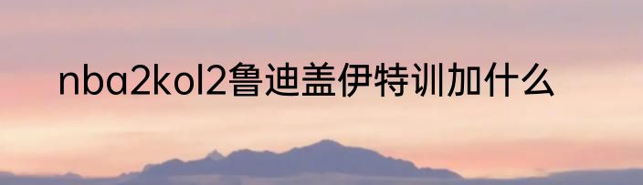 nba2kol2鲁迪盖伊特训加什么