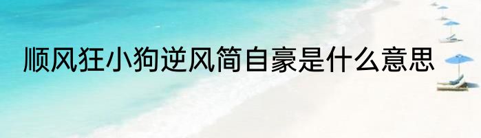 顺风狂小狗逆风简自豪是什么意思