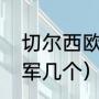 切尔西欧冠几次夺冠（切尔西欧冠冠军几个）