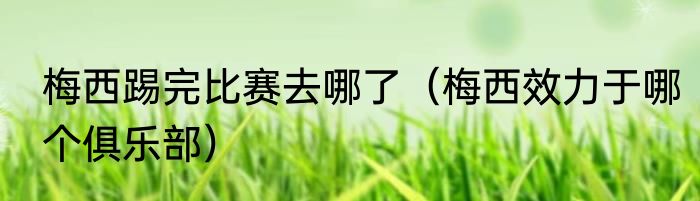 梅西踢完比赛去哪了（梅西效力于哪个俱乐部）