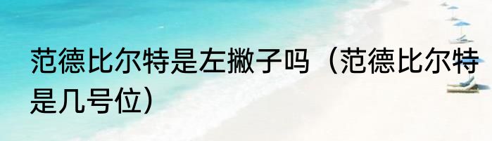 范德比尔特是左撇子吗（范德比尔特是几号位）