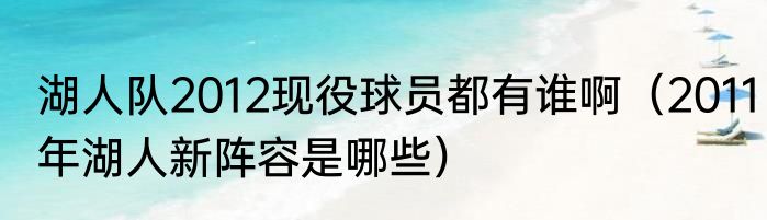 湖人队2012现役球员都有谁啊（2011年湖人新阵容是哪些）