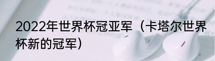 2022年世界杯冠亚军（卡塔尔世界杯新的冠军）
