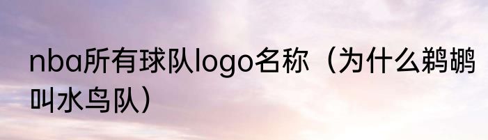 nba所有球队logo名称（为什么鹈鹕叫水鸟队）
