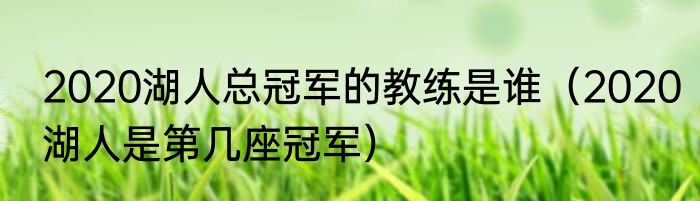 2020湖人总冠军的教练是谁（2020湖人是第几座冠军）