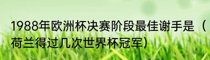 1988年欧洲杯决赛阶段最佳谢手是（荷兰得过几次世界杯冠军）
