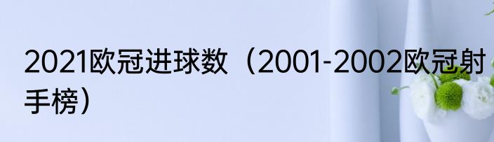 2021欧冠进球数（2001-2002欧冠射手榜）