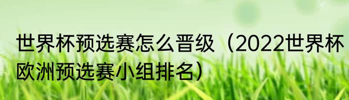 世界杯预选赛怎么晋级（2022世界杯欧洲预选赛小组排名）