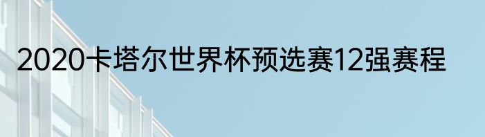 2020卡塔尔世界杯预选赛12强赛程