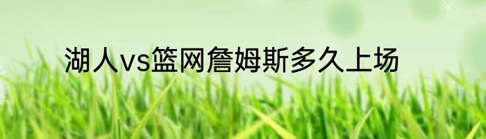 湖人vs篮网詹姆斯多久上场