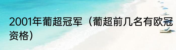 2001年葡超冠军（葡超前几名有欧冠资格）