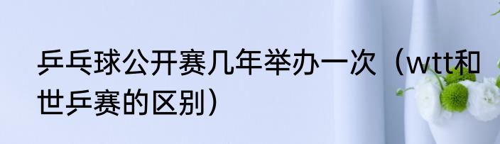 乒乓球公开赛几年举办一次（wtt和世乒赛的区别）