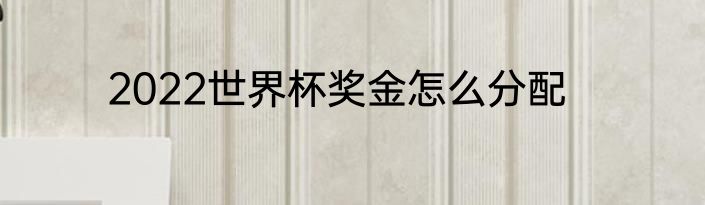 2022世界杯奖金怎么分配