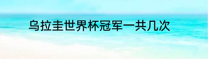 乌拉圭世界杯冠军一共几次