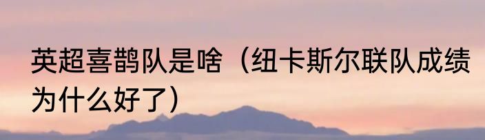 英超喜鹊队是啥（纽卡斯尔联队成绩为什么好了）