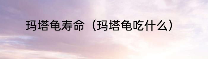 玛塔龟寿命（玛塔龟吃什么）