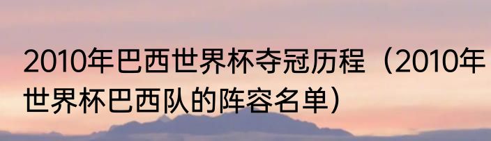 2010年巴西世界杯夺冠历程（2010年世界杯巴西队的阵容名单）