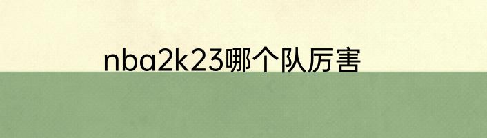 nba2k23哪个队厉害