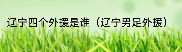 辽宁四个外援是谁（辽宁男足外援）