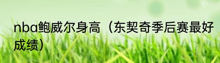 nba鲍威尔身高（东契奇季后赛最好成绩）