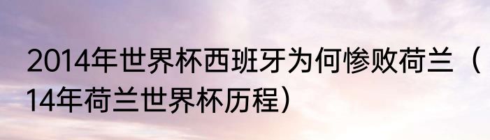 2014年世界杯西班牙为何惨败荷兰（14年荷兰世界杯历程）