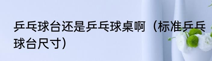 乒乓球台还是乒乓球桌啊（标准乒乓球台尺寸）