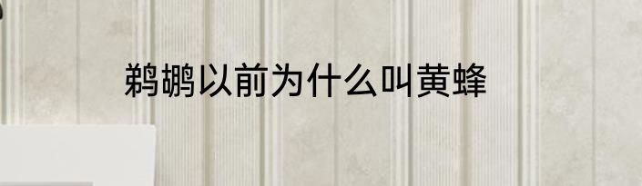 鹈鹕以前为什么叫黄蜂