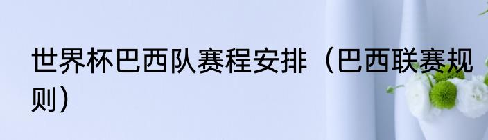 世界杯巴西队赛程安排（巴西联赛规则）