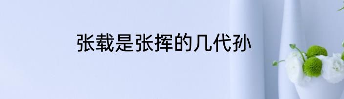 张载是张挥的几代孙
