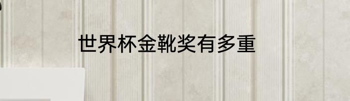 世界杯金靴奖有多重