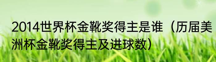2014世界杯金靴奖得主是谁（历届美洲杯金靴奖得主及进球数）