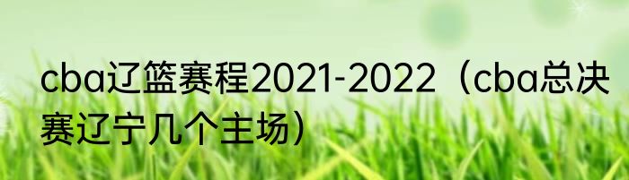 cba辽篮赛程2021-2022（cba总决赛辽宁几个主场）