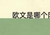 欧文是哪个队的（欧文哪个队）
