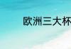 欧洲三大杯都是哪三个杯赛