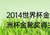 2014世界杯金靴奖得主是谁（历届美洲杯金靴奖得主及进球数）