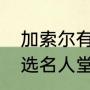加索尔有能力入选名人堂啊（韦德入选名人堂保罗去了吗）