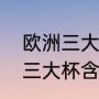 欧洲三大杯指的是那三个杯赛（欧洲三大杯含金量排名）