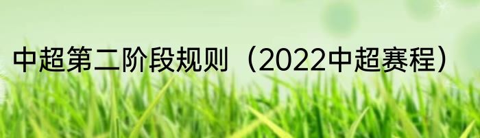 中超第二阶段规则（2022中超赛程）