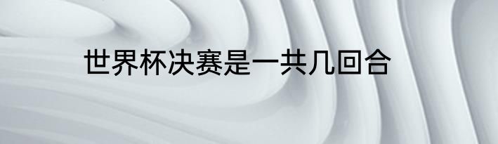 世界杯决赛是一共几回合