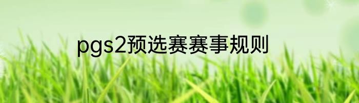pgs2预选赛赛事规则