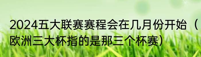 2024五大联赛赛程会在几月份开始（欧洲三大杯指的是那三个杯赛）
