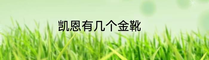 凯恩有几个金靴